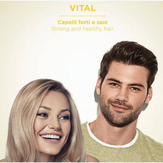 V1H12A782DC7B059FE75CE6D25B34D315D3RP2